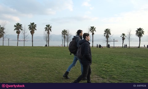 Strolling Friends Palm Park video 889926